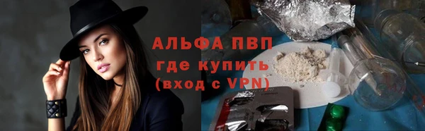 ПСИЛОЦИБИНОВЫЕ ГРИБЫ Горнозаводск