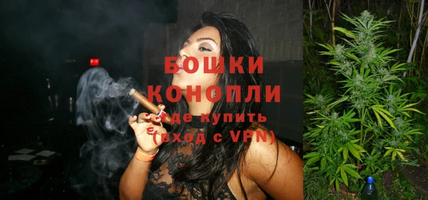 ПСИЛОЦИБИНОВЫЕ ГРИБЫ Горнозаводск