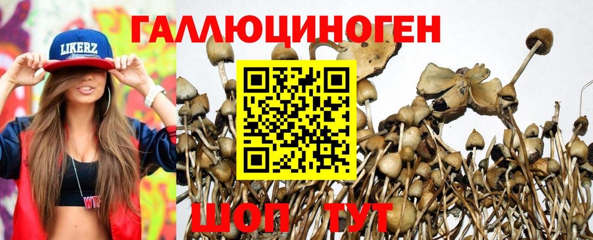 Десногорск  Галлюциногенные грибы ЛСД  сколько стоит  Вход с VPN 